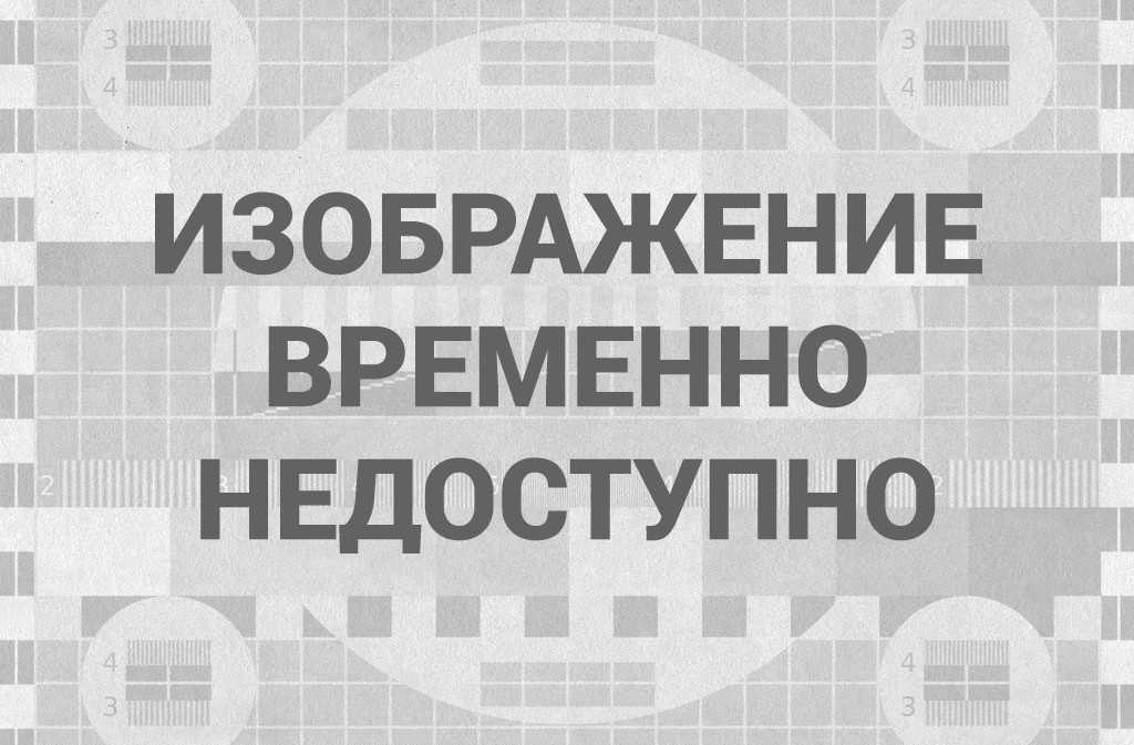 Бурьян на огороде. Бурьян на огороде.